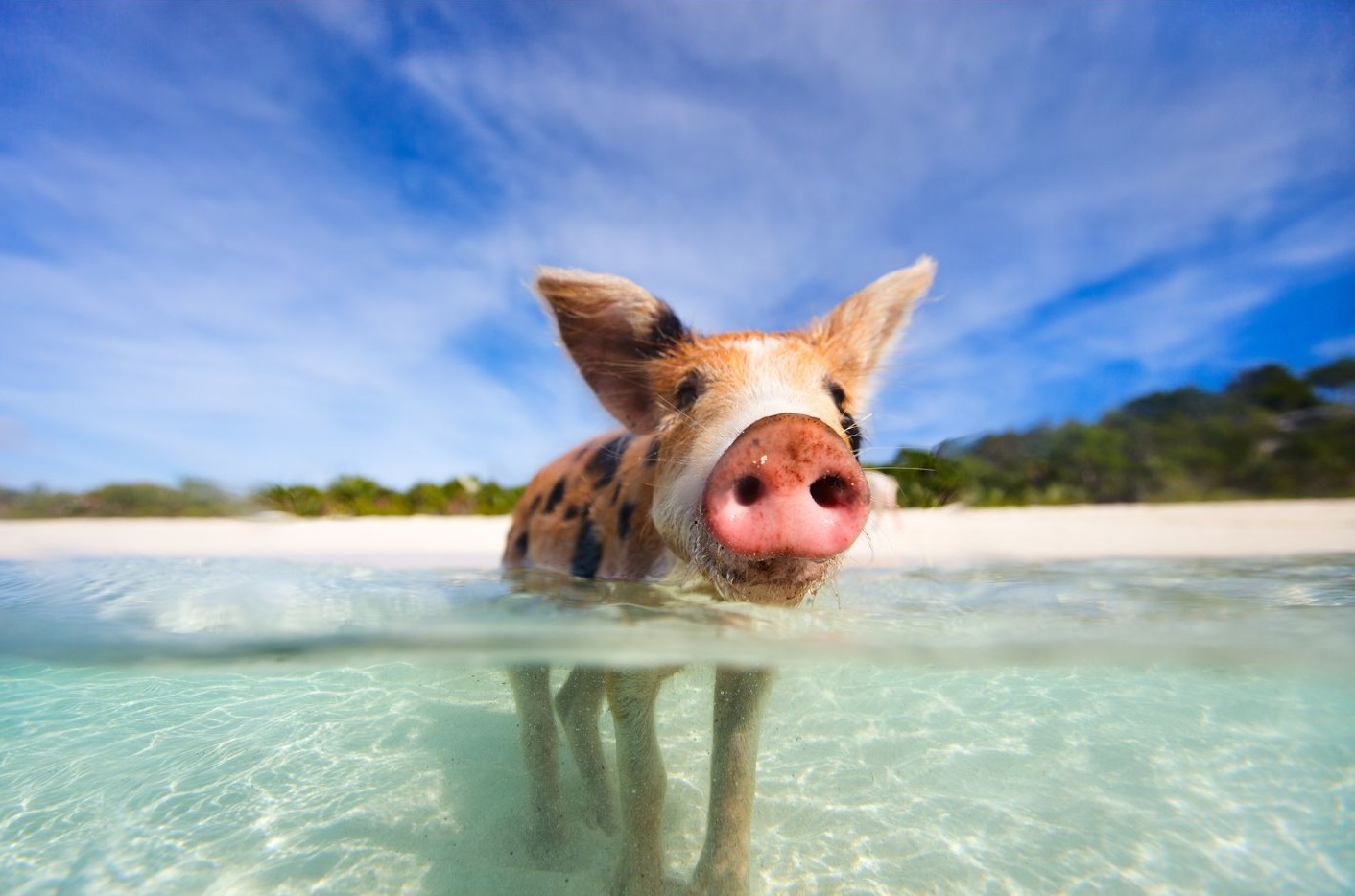 BAHAMAS