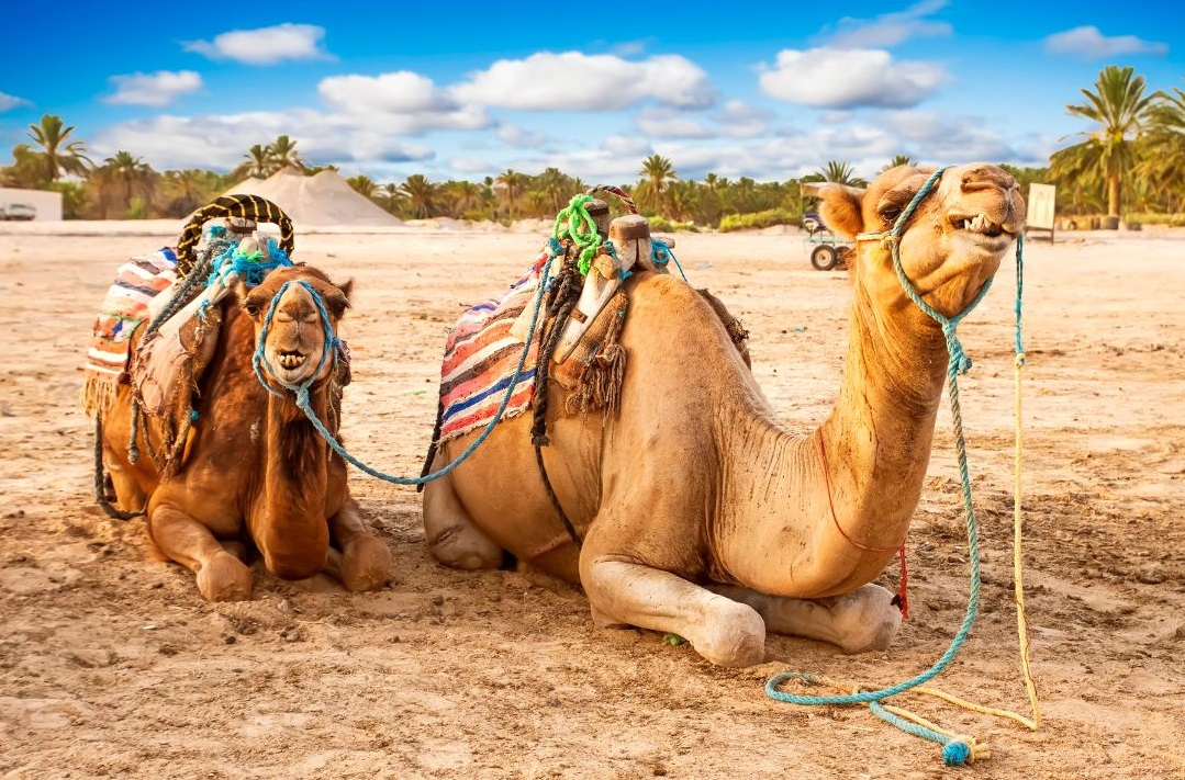 TUNISIA